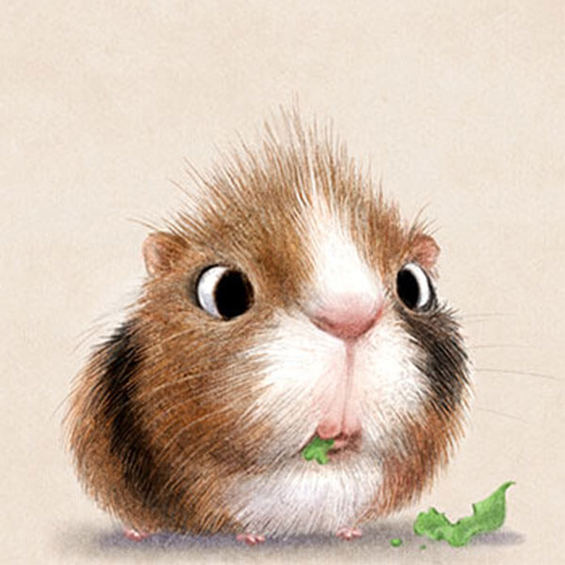 Animal Illustration 3