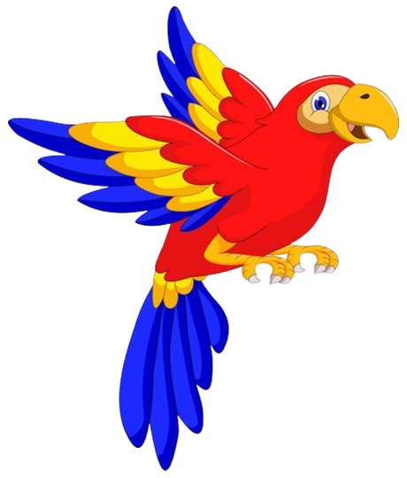 Book Illustration Showcase